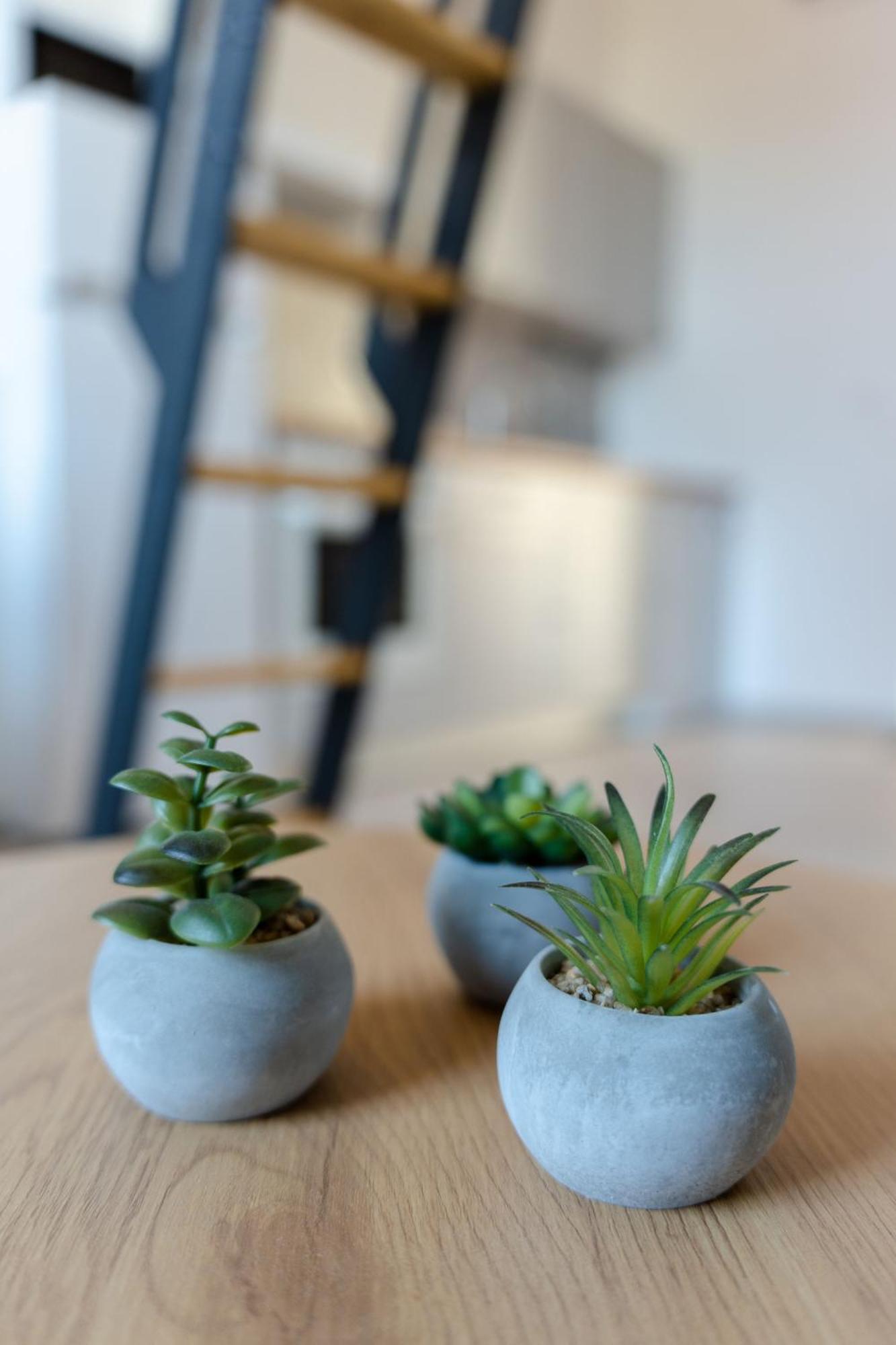 Trg Apartment *